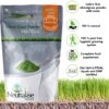 Wheat Grass Powder with Roots